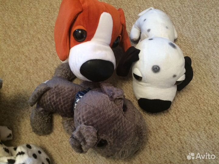 Собаки The dog большие, животные серии Big Headz