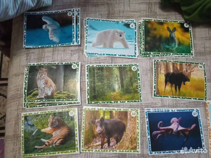 Наклейки живая планета пуд