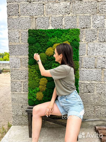 Панно микс стабилизирвоанного мха с желтым