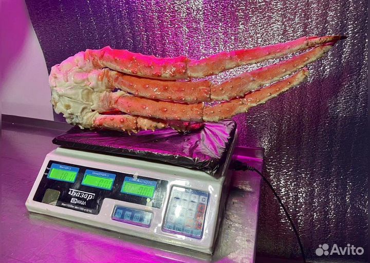 Краб, Креветка, Гребешок