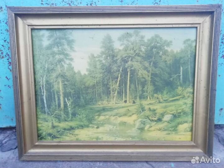 Картина И.Шишкина 