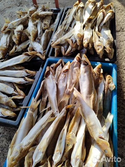 Вяленная рыба