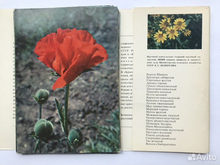 Растения из красной книги СССР, выпуск 1