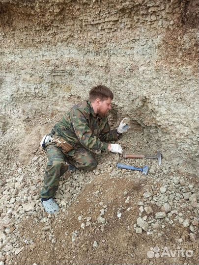 Москва Топ-Экскурсия На раскопки с палеонтологом: