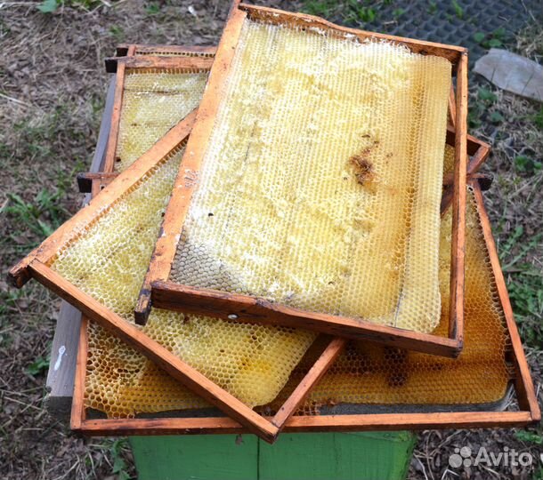 Сушь для пчел. Дадан