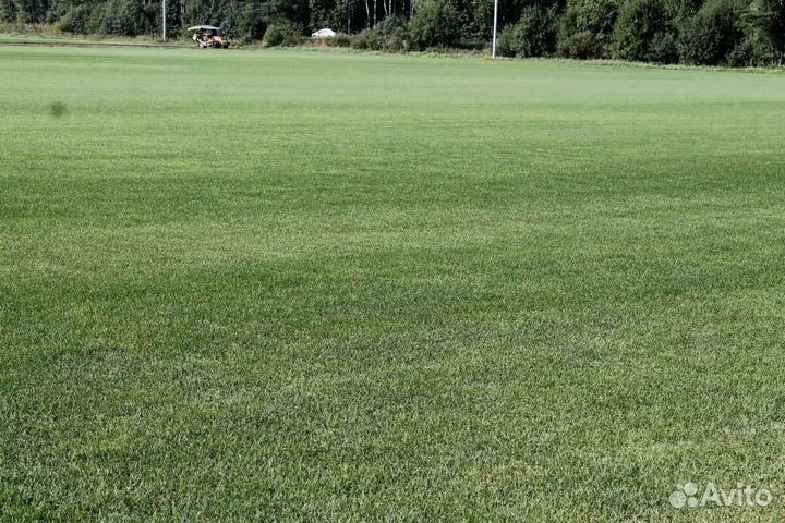 Укладка и продажа рулонного газона