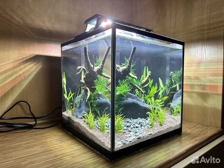 Аквариум с готовым дизайном