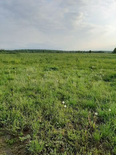 Участок 3,48 га (СНТ, ДНП)