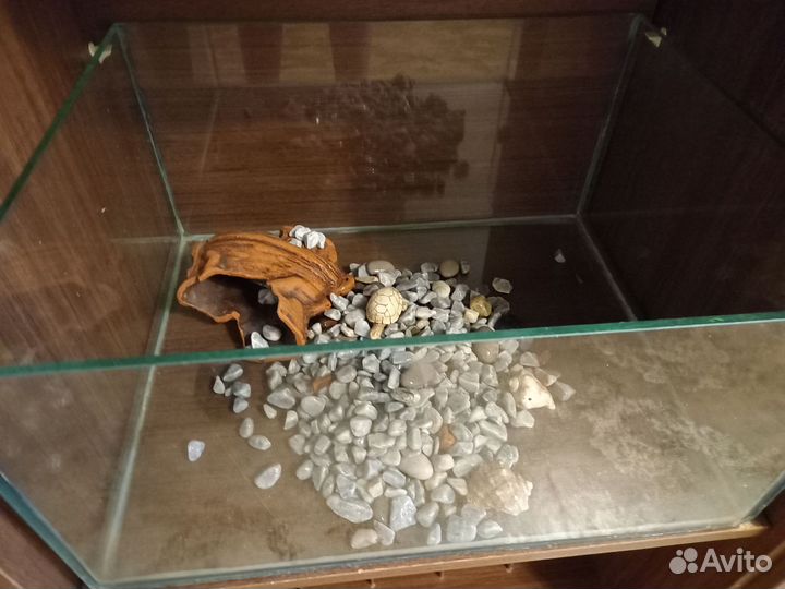 Аквариум для черепахи