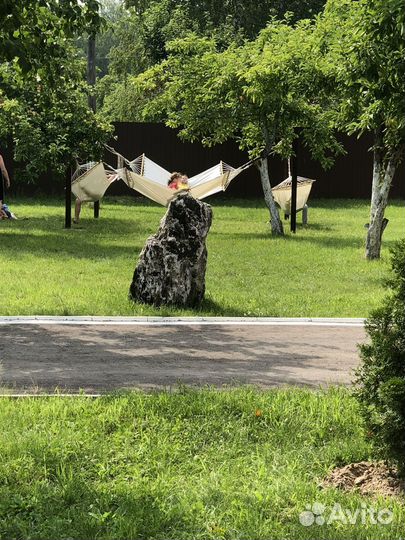 Проведение мероприятий