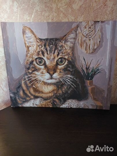 Корм для кошек