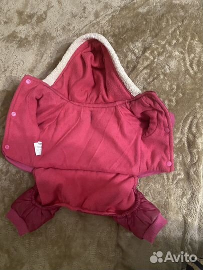 Одежда для маленьких собак