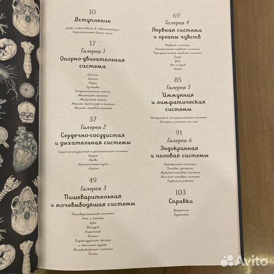 Анатомикум