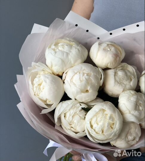 Пионы цветы и букеты