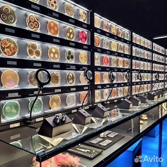 Репетитор по химии и математике ОГЭ