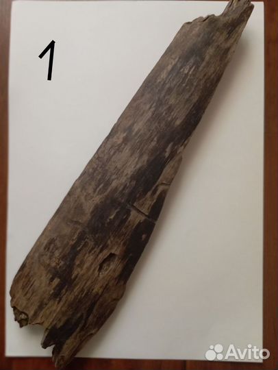 Коряга дрифтвуд