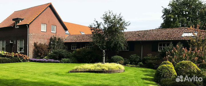 Рулонный газон, укладка, продажа