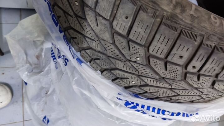 Gislaved NordFrost 100 205/55 R16