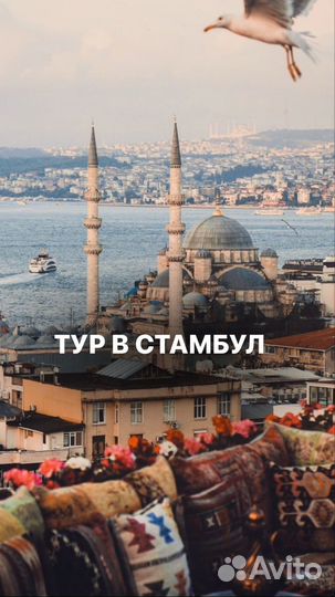 Тур в Стамбул