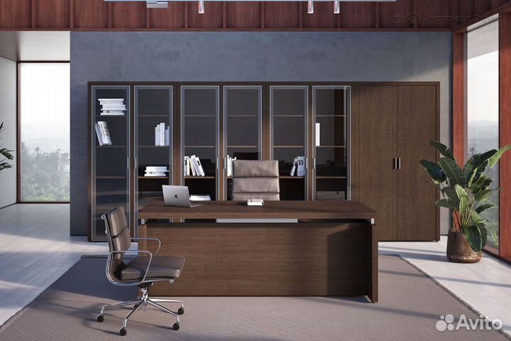 Кабинет руководителя Triumf