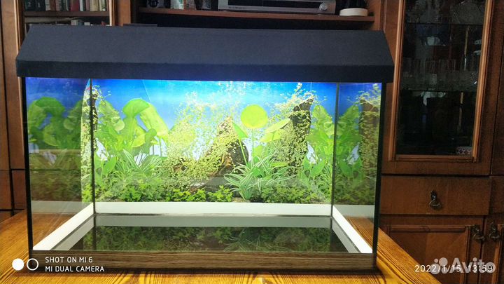 Аквариум