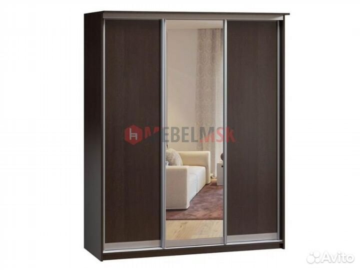 Шкаф-купе Рамир Байкал 3.1