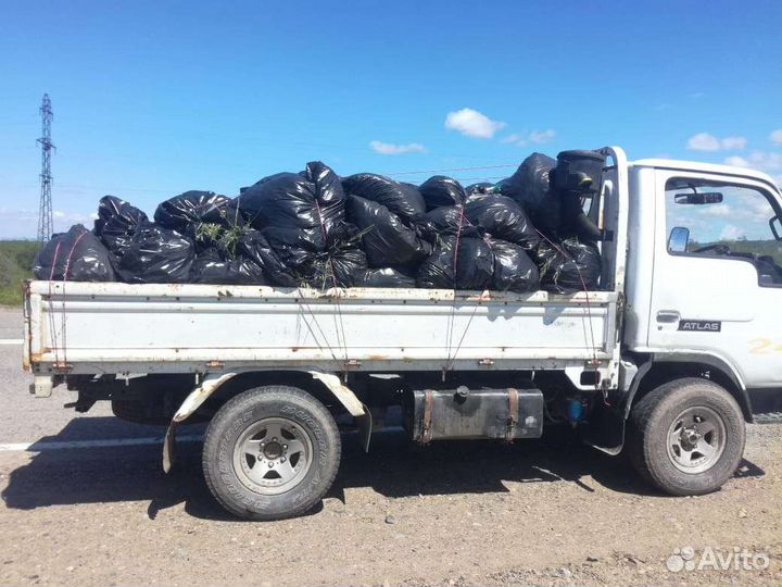 Грузоперевозки