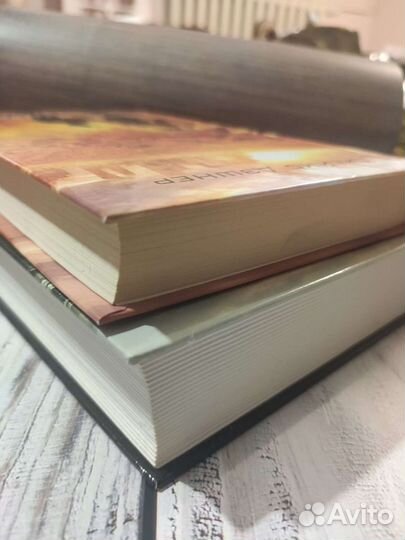 Джеймс Дэшнер. Бегущий в лабиринте