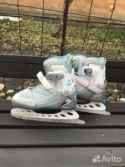 Отдам даром бесплатно