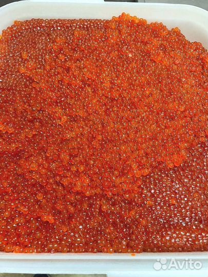 Икра красная кеты, июнь 2023 года