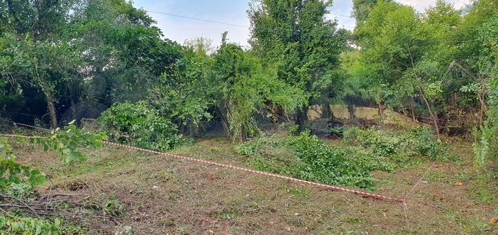 Участок 3,2 сот. (СНТ, ДНП)