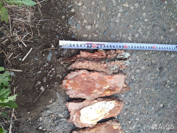 Кора сосны и сибирской лиственницы