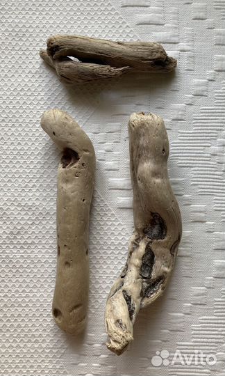 Дрифтвуд 6 коряги