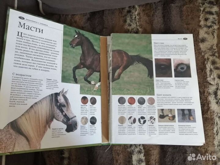 Лошади и пони энциклопедия иллюстрированная