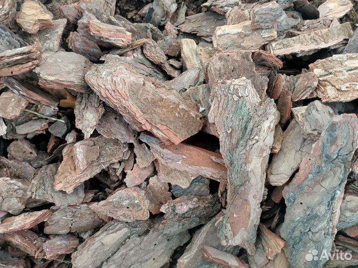 Кора сосны мульча