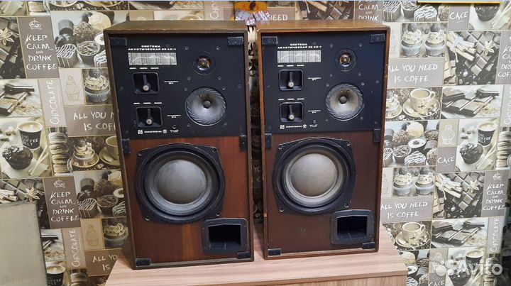 Колонки радиотехника 35ас-1 СССР Доставка