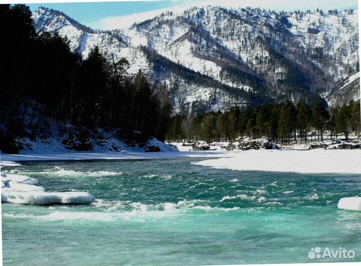 Тур поездка Алтай зимний экскурсия до 7 дней