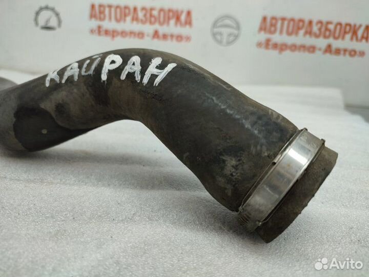 Патрубок радиатора Ssangyong Kyron 2010