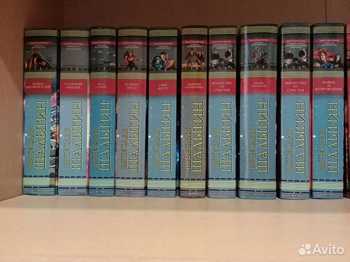 Вячеслав Шалыгин. Серия 