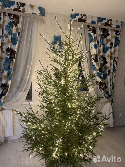 Шторы продаю комплект и тюль