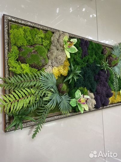 Панно из стабилизированного мха