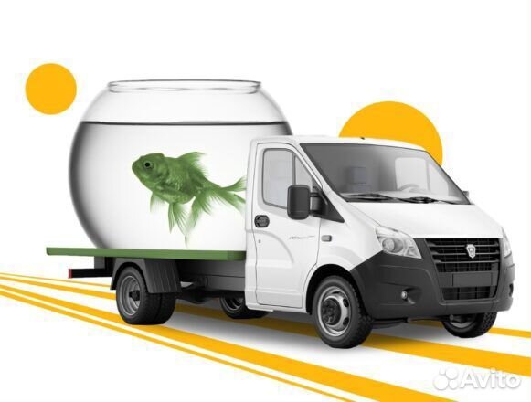 Аквариум. Переезд. Перевозка