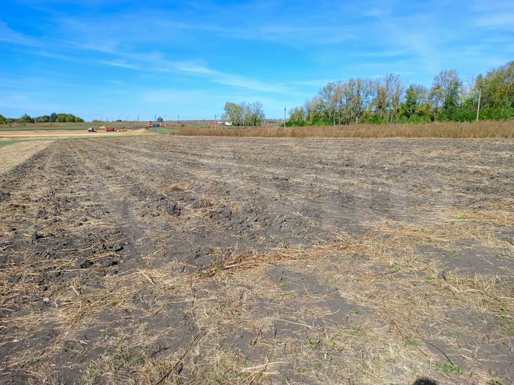 Участок 50 сот. (СНТ, ДНП)