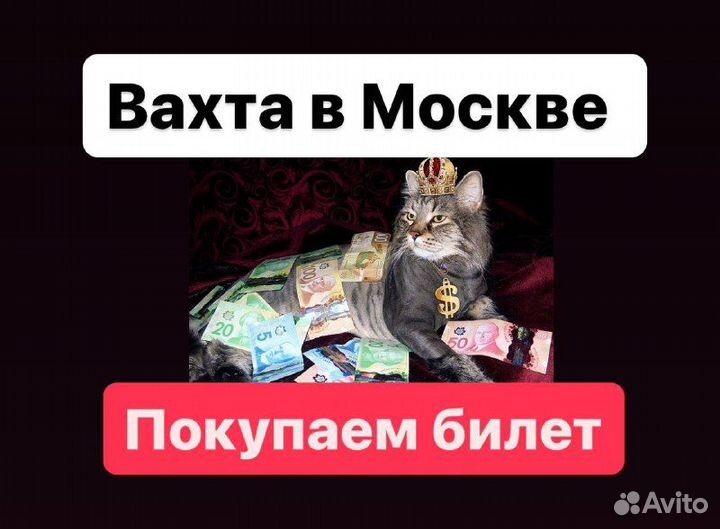 Комплектовщики вахта на лето оплатим проезд