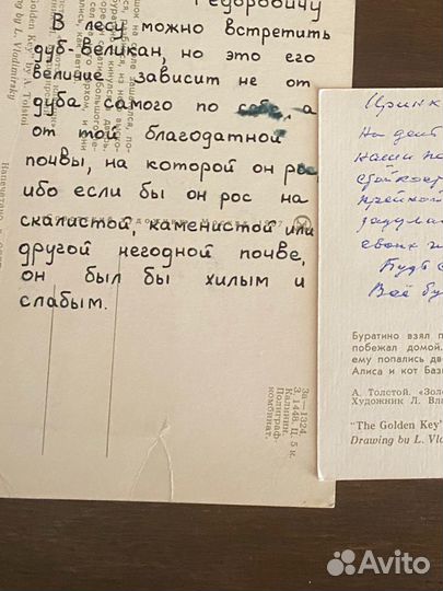 Открытки СССР Буратино Владимирский