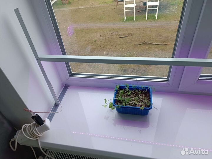 Подставка для фитоленты