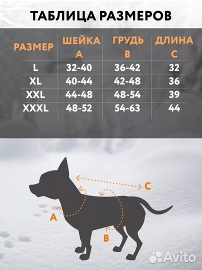 Куртка для собак мелких пород