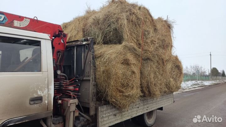 Сено и салома