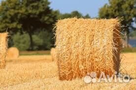 Пшеничная солома в тюках