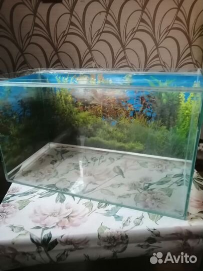Аквариум